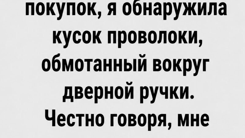 День, когда обычная прогулка стала чем-то большим