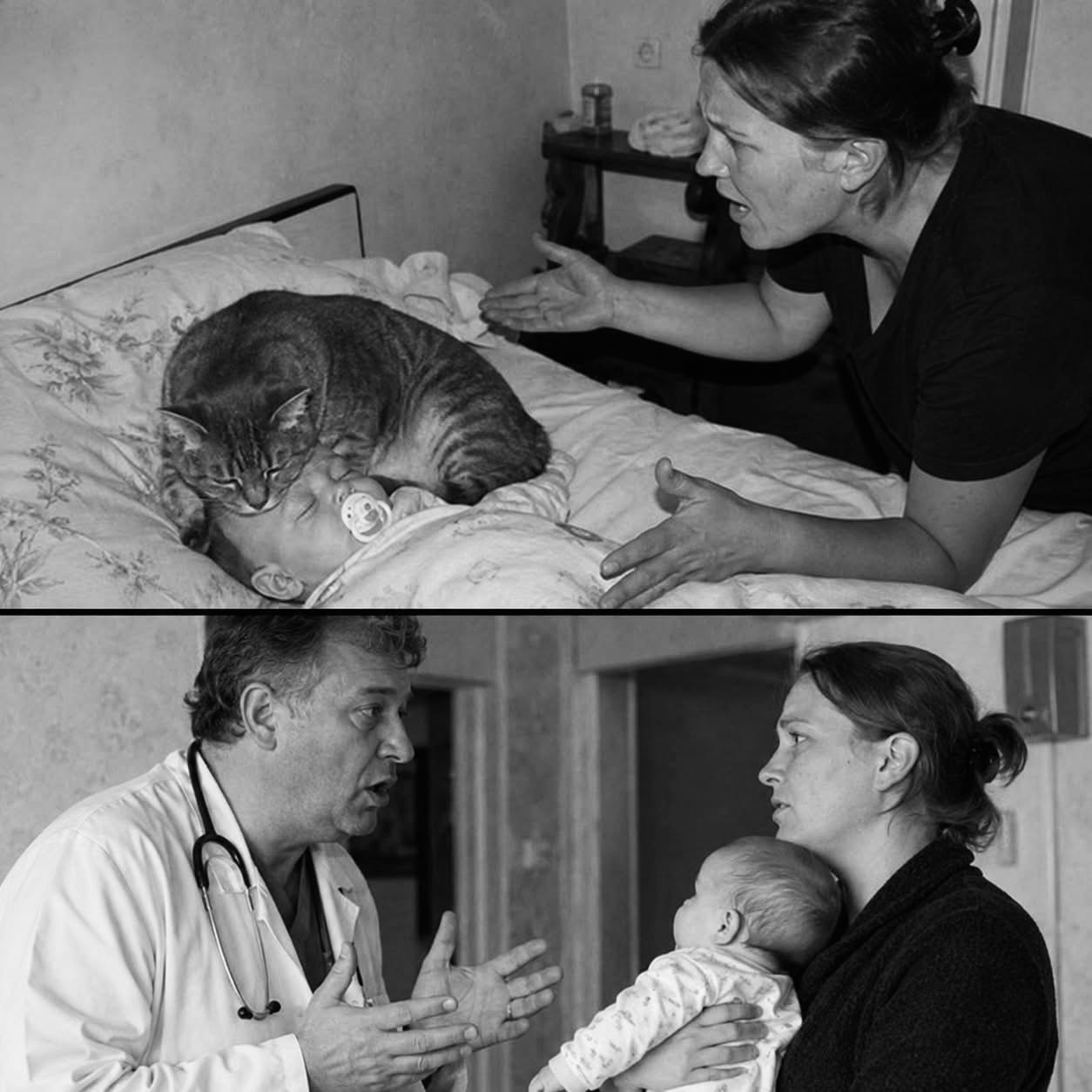 «Кот, который спасал малыша: реальная история, от которой сжимается сердце»