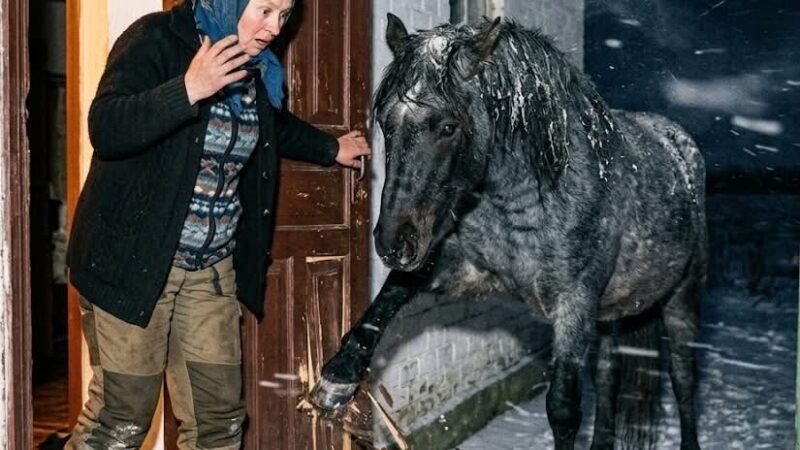 Ночь перед отъездом