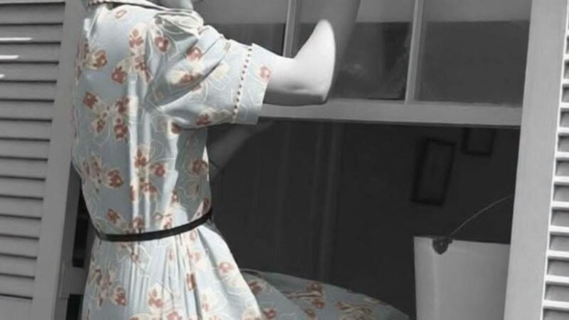 Выпала с девятого этажа — очнулась в лесу: реальная история из жизни, выживание в лесу, встреча с медведем и преданность животных