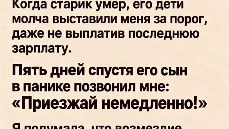 Пятнадцать лет я ухаживала за угрюмым